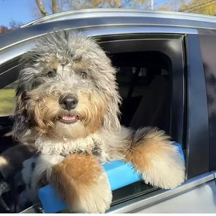 Ridepaw Chinrest™